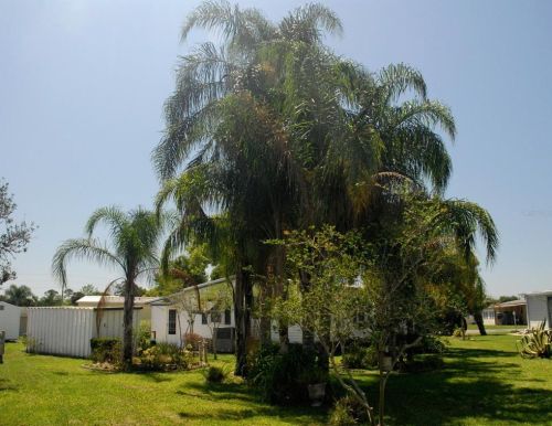 1003 Blue Jay Pl, Osteen, FL 32764-8501