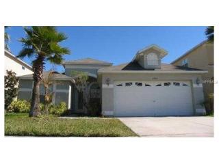 19315 Sandy Springs Cir, Lutz, FL 33558-9734