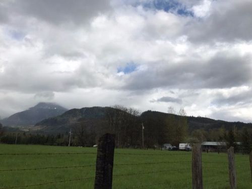 11752 Martin Rd, Newhalem, WA 98283-9768