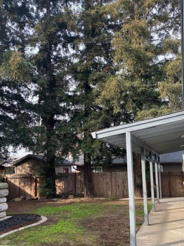 226 Oregon St, Ripon CA  95366-2145 exterior