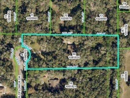 8440 Wildflower Dr, Brooksville FL  34602-5482 exterior