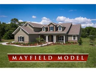 16922 Comunidad De Avila, Lutz, FL 33548-8106