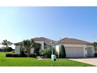 13135 93rd Cir, Summerfield, FL 34491-9335