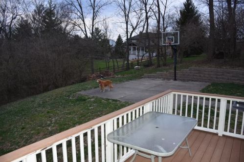 649 Dorgene Ln, Cincinnati, OH 45244-1010