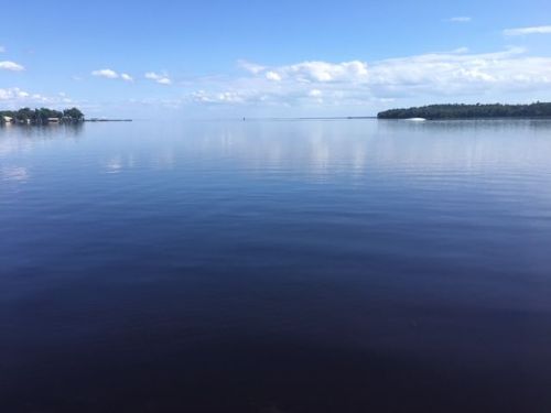 1559 County Rd 309, Georgetown FL  32139-3105 exterior