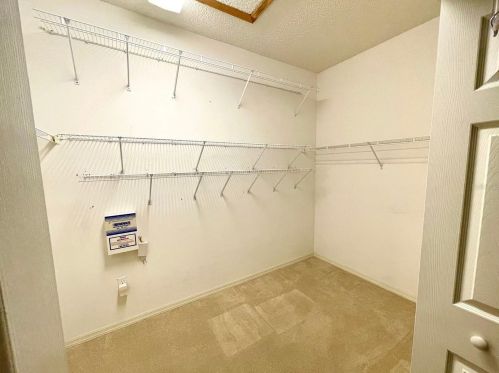 3516 Tealwood Cir, Palm Harbor FL  34685-3145 exterior