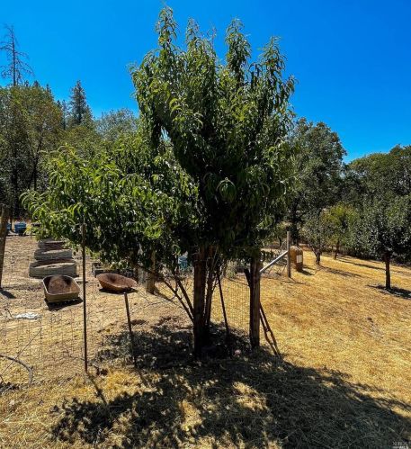 22619 Eastside Rd, Willits CA  95490-9780 exterior