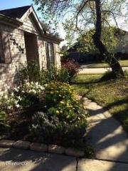 23702 Tree House Ln, Spring TX  77373-6665 exterior