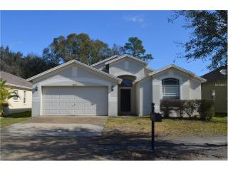 6829 Bluff Meadow Ct, Zephyrhills FL  33545-4809 exterior