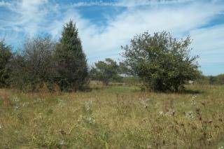 717 Hidden Meadows Dr, Miamisburg, OH 45342-1603