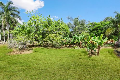 16893 Hamlin Blvd, Town Of Loxahatchee Groves FL  33470-1737 exterior