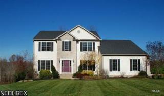1159 Spafford Dr, Akron, OH 44321-1833