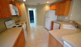 10010 Creek Bluff Dr, Riverview FL  33578-7559 exterior
