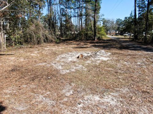 150 Jennings Rd, Freeport, FL 32439-4227