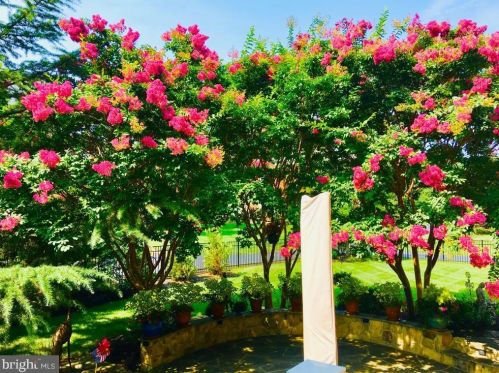 19376 Ml Dm Pl, Leesburg VA 20176-1637 exterior