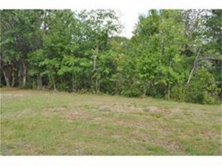 7705 Still Lakes Dr, Odessa, FL 33556-2262