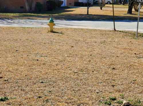 326 Hadley Hall Rd, Cayce-West Columbia SC 29172-3133 exterior