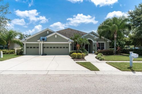 12414 Silton Peace Dr, Riverview, FL 33579-3946