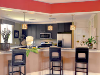 212 Katherine Blvd, Palm Harbor FL  34684-3671 exterior