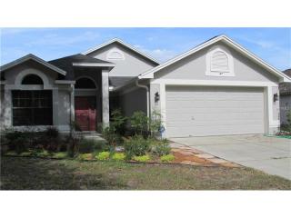 1814 Candlestick Ct, Lutz FL  33559-3351 exterior
