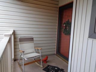 84 Black Oak Dr, Lancaster, PA 17602-3464