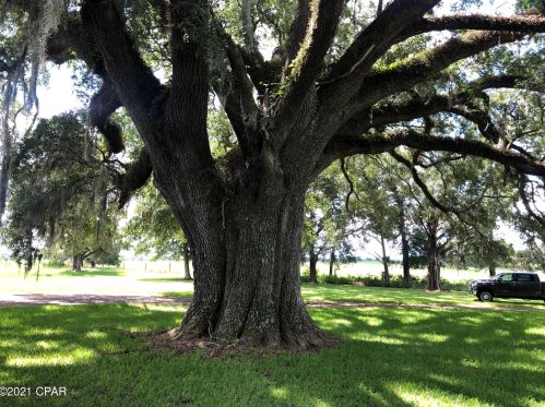 4838 Highway 231, Campbellton FL  32426-6814 exterior