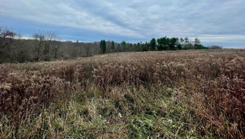 20422 County Road G, Boaz WI  53581-9002 exterior