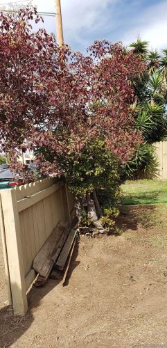 729 45th St, San Diego, CA 92113-2906