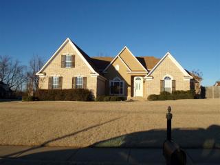 253 Robert L Ellis Dr, Munford, TN 38058-3021