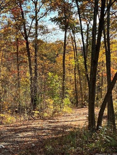 94 Sarah Pearl Rd, North Windham, CT 06247-1435
