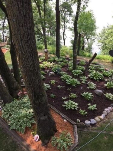 25101 Carousel Rd, Paynesville MN  56362-9788 exterior