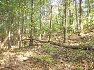 158 Youngblood Rd, Zelienople, PA 16063-2928