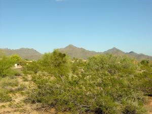 9045 Rimrock Dr, Scottsdale, AZ 85255-9133