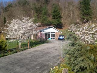 248 Jh Fauver Rd, Blountville, TN 37617-3530