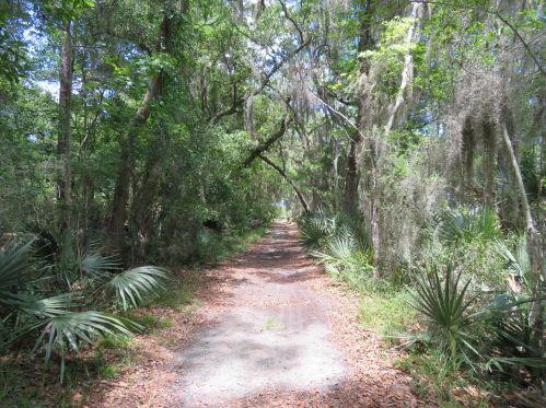 2682 Starfish Dr, Johns Island SC  29455-8600 exterior