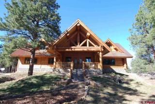 101 Fisher Creek Dr, Ridgway CO  81432-8966 exterior