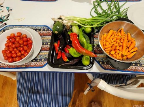 15560 Leadwell St, Van Nuys CA 91406-3110 exterior