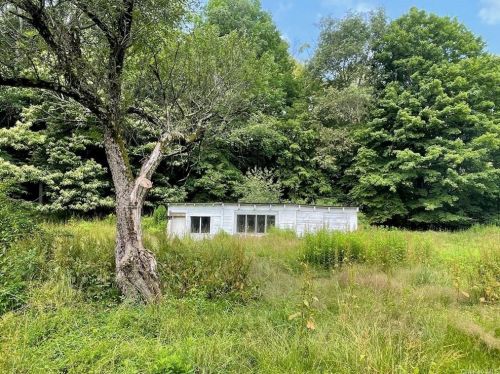 1556 Shandelee Rd, Lew Beach NY  12758-7534 exterior
