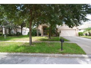 6122 Whimbrelwood Dr, Lithia, FL 33547-4100