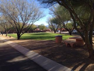 10463 Sixto Molina Ln, Tucson, AZ 85747-5850