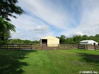 1170 Clarkson Parma Tl Rd, Brockport, NY 14420-9417