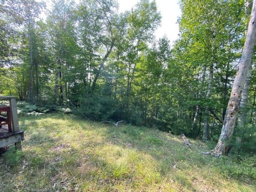 50635 Martin Rd, Barnes, WI 54873-4693