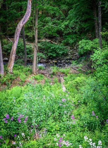 539 Cornwall Bridge Rd, West Woods CT  06069-2525 exterior