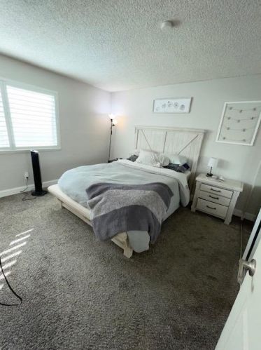 2829 Park Pl, Modesto CA  95350-0243 exterior