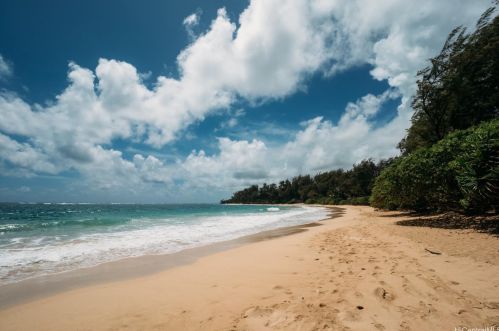 55-137A Kamehameha Hwy, Laie, HI 96762-1210