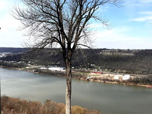 2926 Vista Ct, Covington KY  41017-3687 exterior