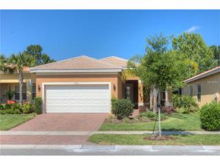 15918 Cobble Mill Dr, Wimauma FL  33598-4013 exterior