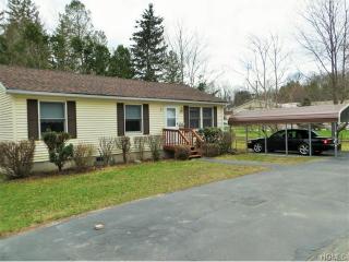4 Kaempfer Ln, Liberty, NY 12754-1202