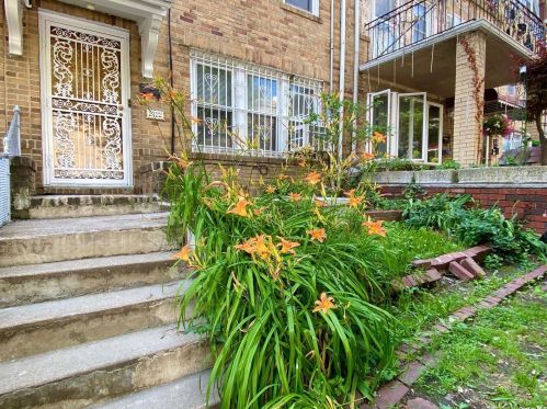 27-22 14th St, Long Island City, NY 11102-3720