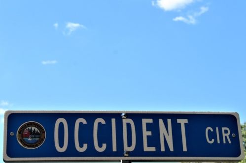 17 Occident Cir, Walpole, MA 02081-3338